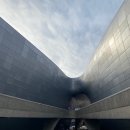 워니 닭한마리 이미지