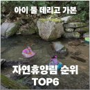아이와 가기 좋은 자연휴양림 순위 TOP6 (직접 다녀온 후기)