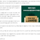 "어디도 안심할 수 없다"…대법, 전국 법원 3주간 휴정 권고 이미지