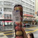 e참아름마트 | [신혼여행 Honeymoon #4] 스위스패스 구매 / 루체른 취리히 여행기 맛집 추천