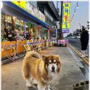 대하횟집 이미지