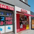 멍냥가게24