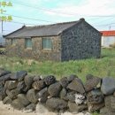 신도리-6 이미지