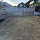 작은복골 이미지