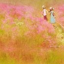 관-비-4-4호 이미지