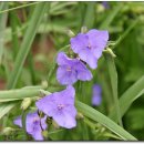 문화공원화장실 이미지