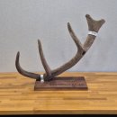 원용농장 이미지