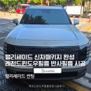 골든도어 | 안산 신차패키지 팰리세이드 레전드윈도우필름 반사필름 30/10썬팅, 도어PPF 작업 후기