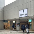 헬로멍 | 생일 주간 일상🎁 | 헬로워크 첫 방문 | 신오쿠보 한양