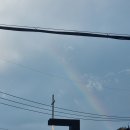 옥산골 | [일상] 레소일기 : 7월 마지막주 일상 (주간먹방,코로나후유증,무지개🌈,대전사회적경제가치여행)