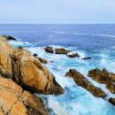 국도카서비스 이미지