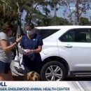 애니멀 동물병원 이미지