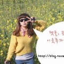 스무디킹롯데시네마점 이미지