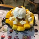 설빙대구수목원점 이미지