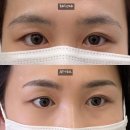 눈썹반영구(페이스아트) | 미사역 반영구 눈썹 추천, 타비뷰티 디자인 눈썹 솔직 후기