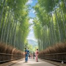 담음의 미학 이미지