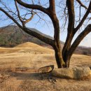 자하곡약수터 이미지