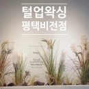 평택 왁싱 추천 친절한 관리와 프리미엄 케어까지, 털업왁싱 평택비전점 후기