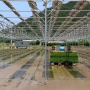 선진에너지 태양광발전소 이미지