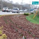 웰빙주유소 이미지