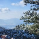 홍성 오서산공영주차장 | 충남 홍성 I 블랙야크 100대 명산 오서산 3월 설산 후기