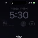 마라하오 이미지