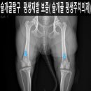 쥬만지동물의료센터 이미지