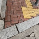 양지동