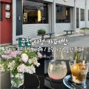 순천 카페반 애견 동반 가능한 순천 시청 분위기 좋은 힙한 카페