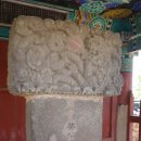 순천-47호 이미지