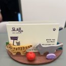 고양이의 산책:묘책 이미지