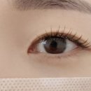 더고운 살롱