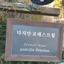 다지안포레스트힐 | [강원/양평] 다지안 포레스트 힐 독채펜션 숙박 후기