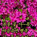 20260728(화) 오후걷기 생략 이미지