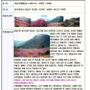 봉월로 주유소 이미지
