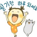영남대학교의과대학부속영천병원 이미지