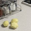 마냥귀엽개 이미지