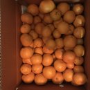 선화농원 이미지