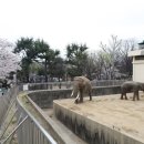 달성공원 이미지