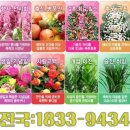 무안초당병원장례식장 이미지
