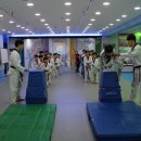 용인대 새로 태권도 이미지