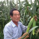 왕촌농산 이미지