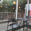 비아델피노 | 숲속 카페/포항양덕카페 "비아델피노"