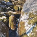 [공지] 20250406금정산 암괴류지대+밀레능선산행