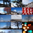 송년도보(12월11일) 동대문역~낙산~성곽~삼청공원 이미지