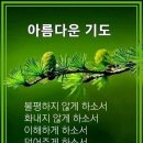 엄지공주 - 경주시 충효녹지길 142-7 | 엄지공주