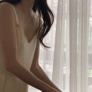 티에 Daum카페