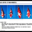 코이 - 미추홀구 경인로 158 | 코이