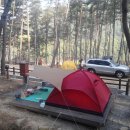 작천정별빛야영장 이미지