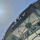 [대구 서문시장 맛집] 납작만두가 맛있었던 ‘떡볶이천국’ 내돈내산 후기